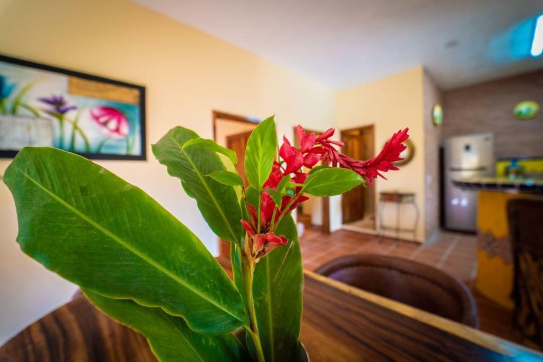 Villa Casa Palmito Cerca De La Playa Yelapa Esterno foto